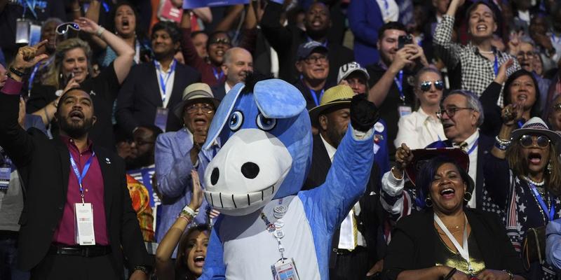 Help Me Out Here: What's the Democratic Party's Logic on the Shutdown Fight?