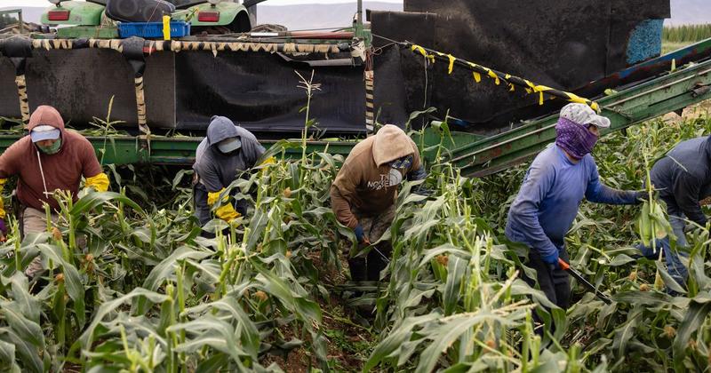 Trump’s Mass-Deportation Mania May Boost Food Prices