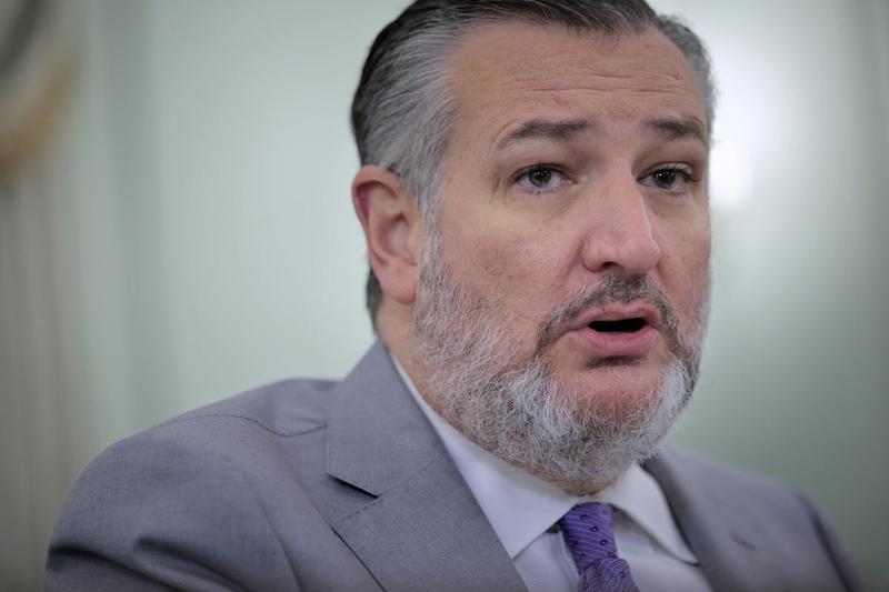 Ted Cruz Warns GOP of “Political Peril” After No Kings Protests