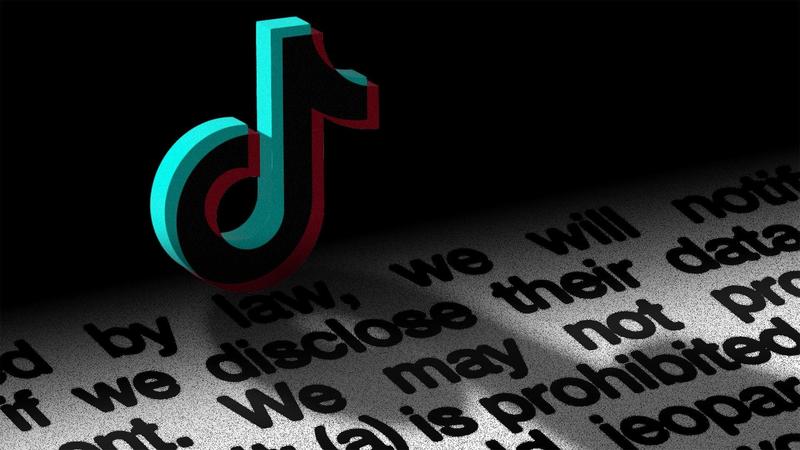 TikTok Won’t Say If It’s Giving ICE Your Data