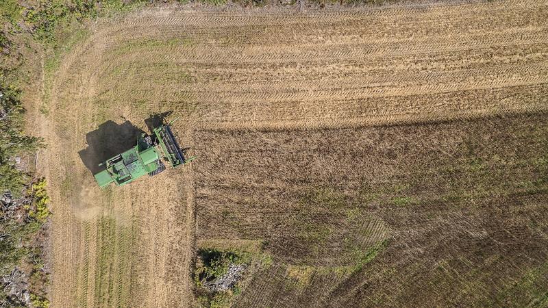 Maatalous | Lukijalta: Hehtaaritukien lasku ja riskienhallintatoimet hyödyttäisivät ruoantuotantoa