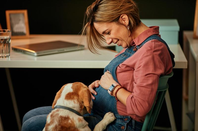 Opinion: Do dogs behave differently during an owner's pregnancy? Many dog owners think so