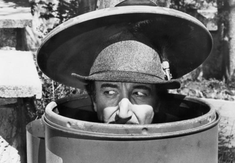 From Cockroaches to Clouseau