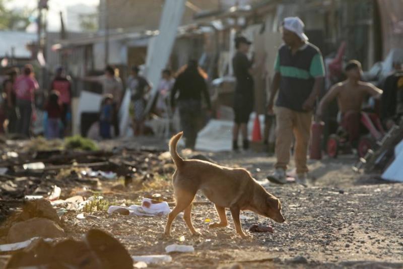 Toma Dignidad: la crisis de bienestar como territorio