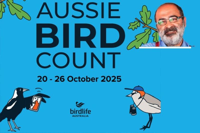Avustralya’da ‘yılın kuşu’ ve kuş sayımı