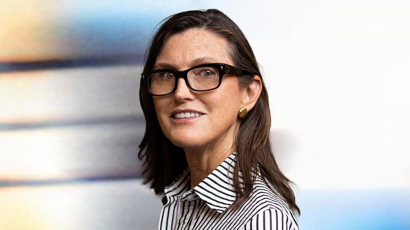 Inside Superstar Investor Cathie Wood's AI Stock-Fueled Comeback