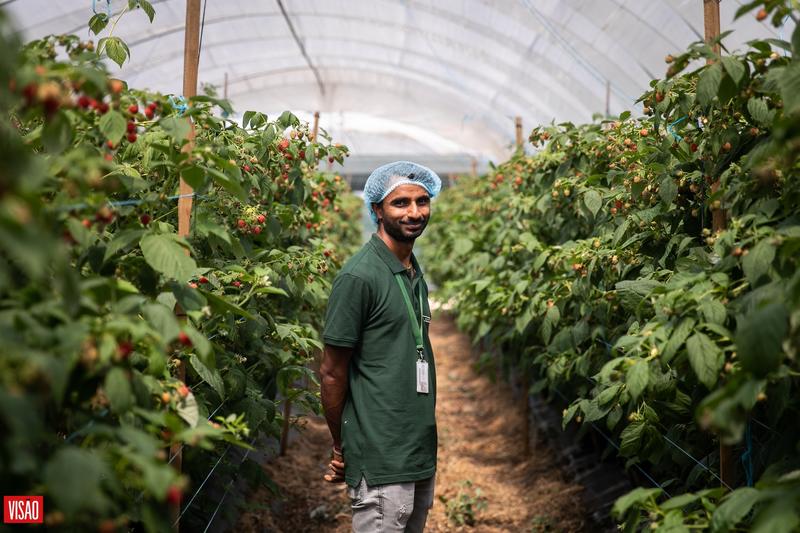 A força que vem de fora