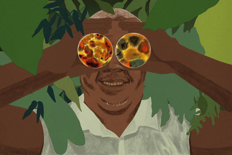 Não é sobre competência. É que você é preto