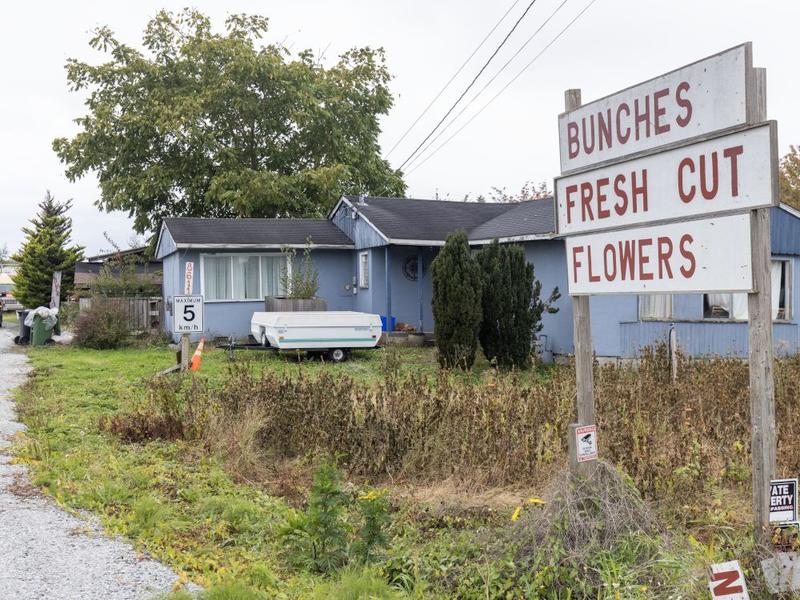 Tasha Kheiriddin: Cowichan decision exposes toxic 'colonizer' narratives