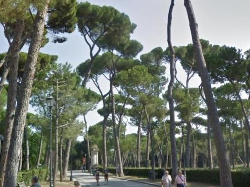 Alberi a Roma, il direttore capitolino del Verde: «Mappati 207 mila dei 340mila presenti»