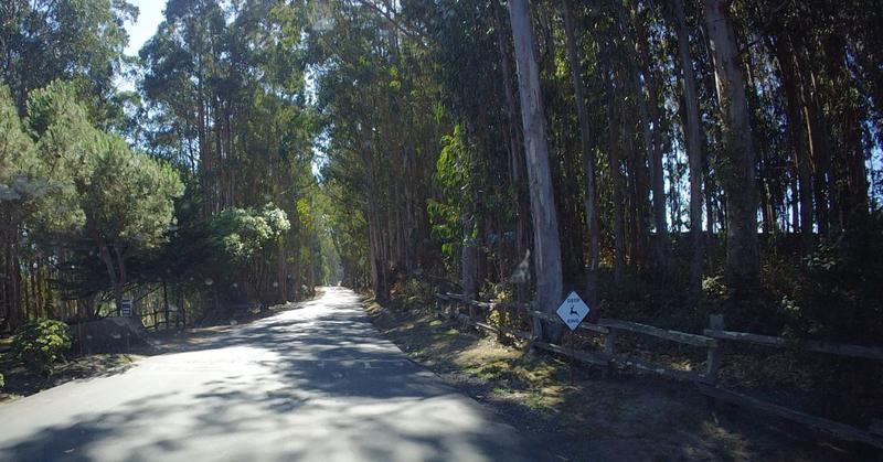 Unplugged and Outside