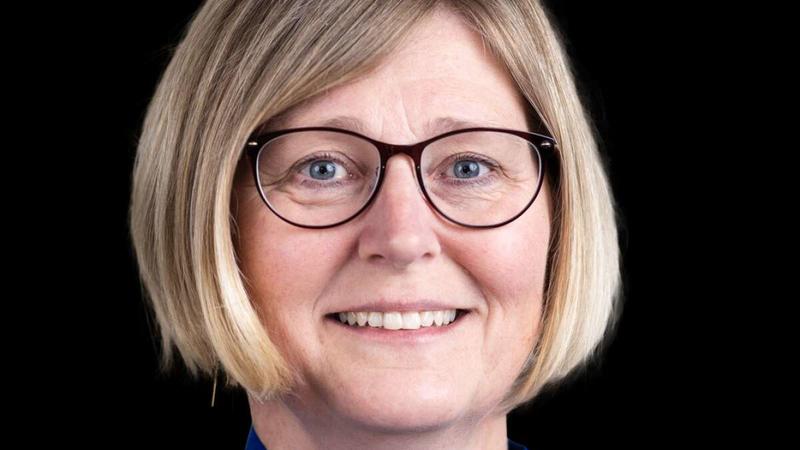 Debat: »Bådebroer og bureaukratiets tosserier«