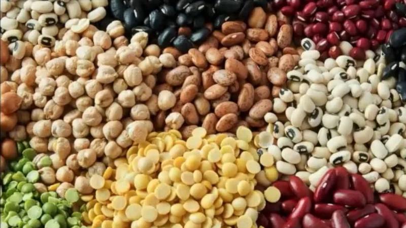 India’s 6-Year Aatmanirbhar Mission On Pulses: Can ₹11,440-Crore Plan Deliver True Self-Sufficiency By 2030? India’s 6-Year Aatmanirbhar Mission On Pulses: Can ₹11,440-Crore Plan Deliver True Self-Sufficiency By 2030?