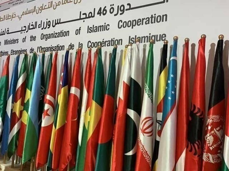 Muslims in disarray Muslims in disarray