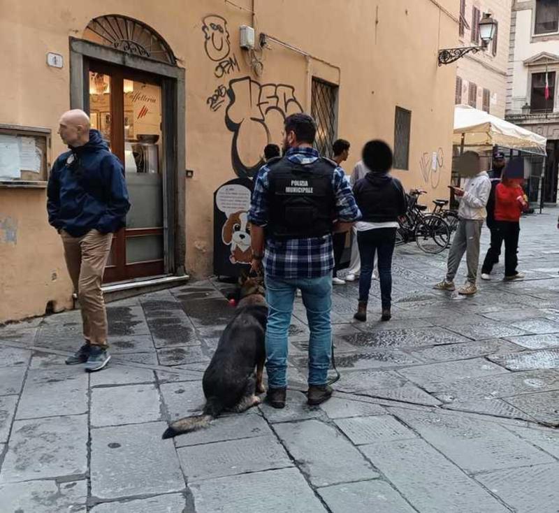 Operazione decoro. Blitz dei vigili in centro