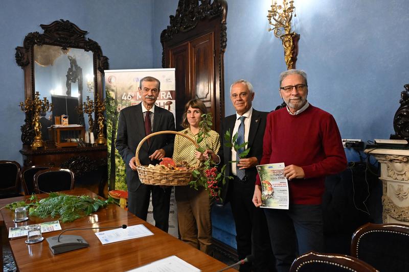 Torna la Mostra dei funghi e delle erbe: in Sala Borsa oltre 400 specie