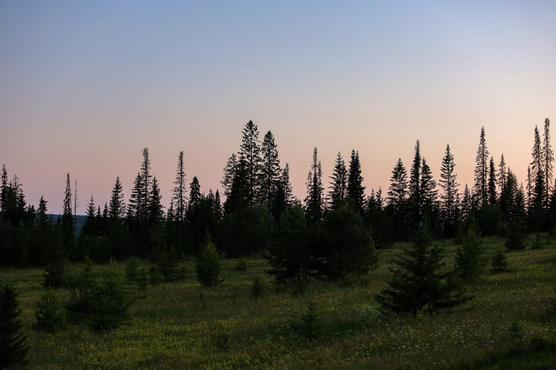 «Криминальную версию не исключаем»: в СК рассказали о расследовании дела Усольцевых
