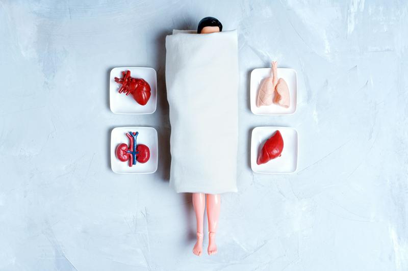 From monkey glands to ‘young blood’: the long, strange history of chasing immortality through transplants