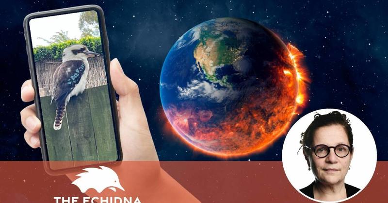 This is what I do when the rest of the world is doomscrolling