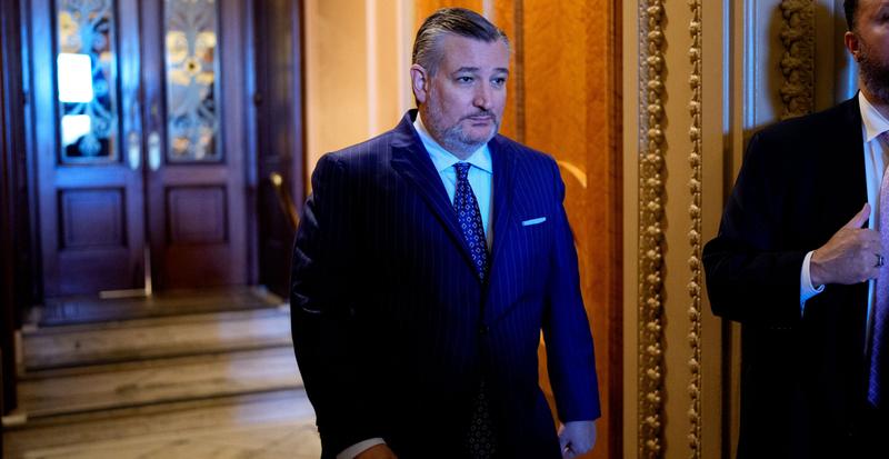 Ted Cruz, Eli Crane Lead Effort to Require Only Citizens Vote