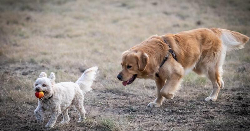 How we can unleash a dull and uptight country like ours