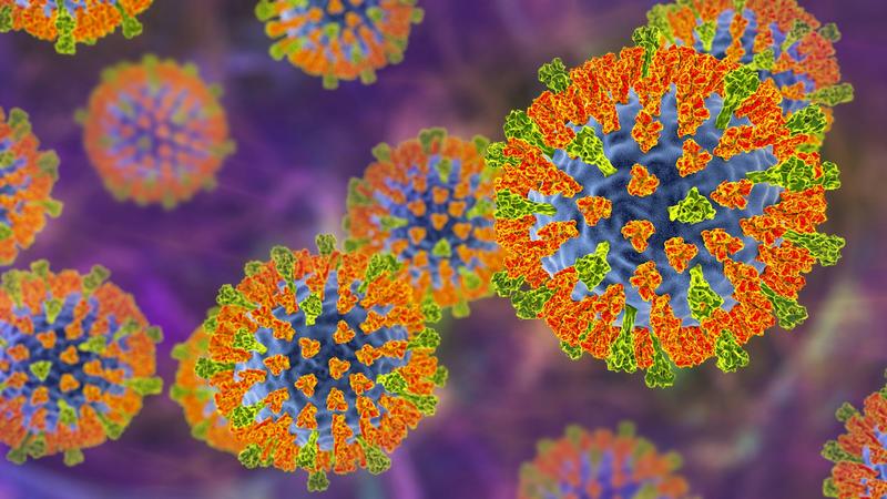 NZ may be on the cusp of another measles outbreak – what happened in 2019 should be a warning