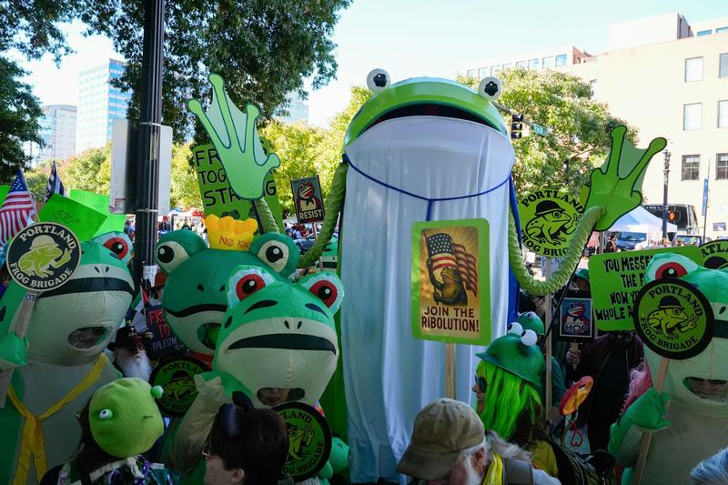 Why US activists are wearing inflatable frog costumes at protests against Trump