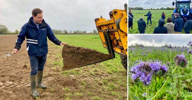 Forward-thinking farm experiments lay the groundwork for a more fertile future