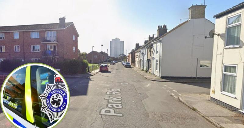 Brick and objects thrown at homes as vandals strike