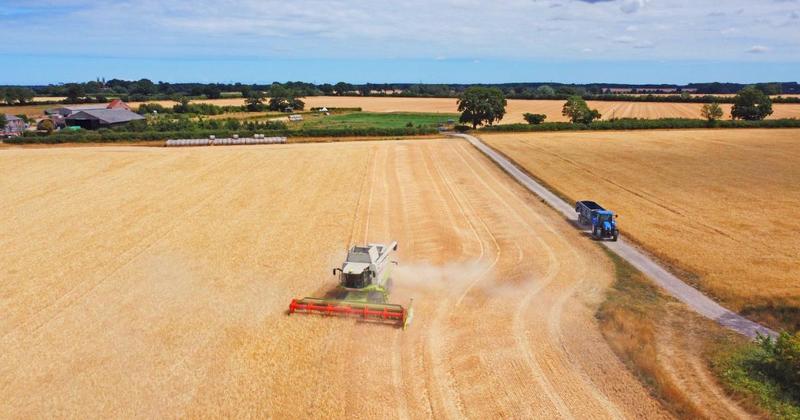 Farmland values have fallen for first time since 2020, say agents