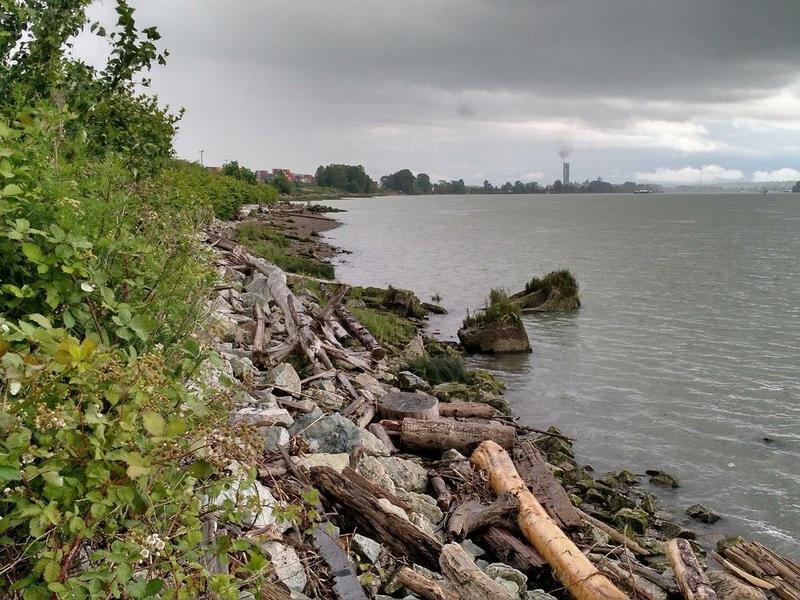 Opinion: The Cowichan ruling doesn’t end private property, it tests our honour