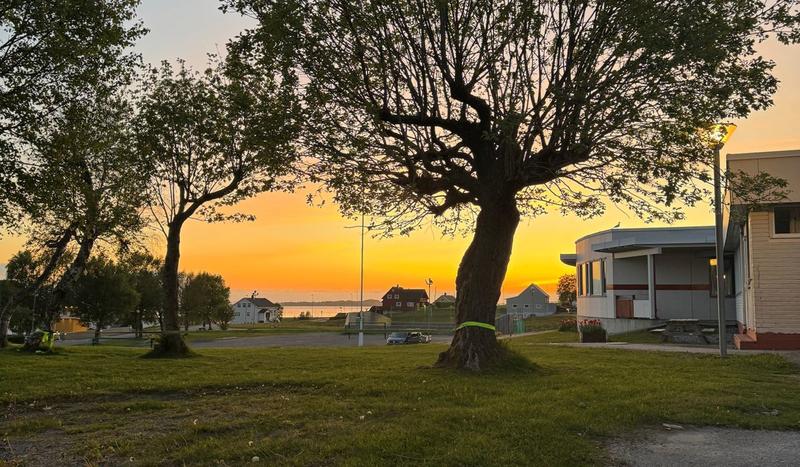 Det er ingen skam å snu