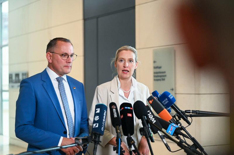 AfD-Verbot: Schwuppdiwupp wären sie wieder da AfD-Verbot: Schwuppdiwupp wären sie wieder da