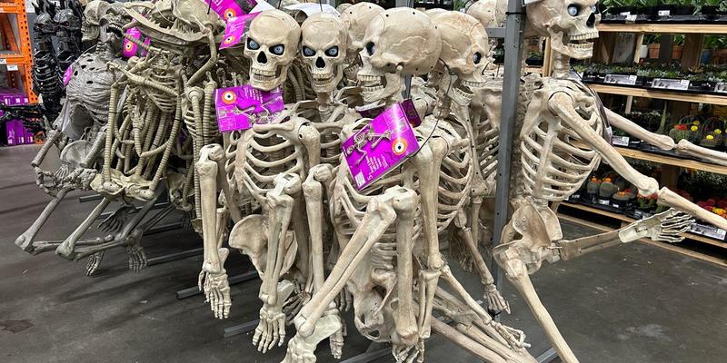 Halloween in the Age of Extermination: When Horror Comes Free in Gaza