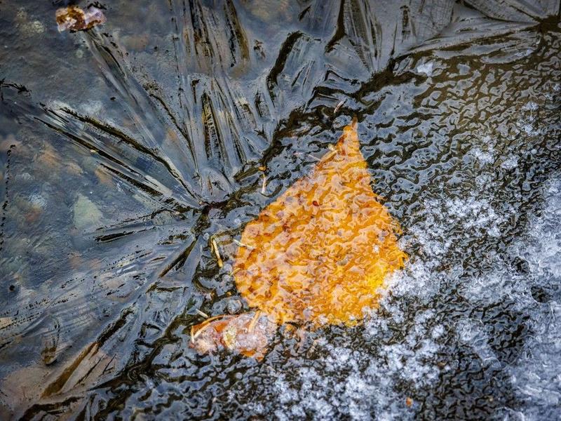 On the Road: Jewels in the grass