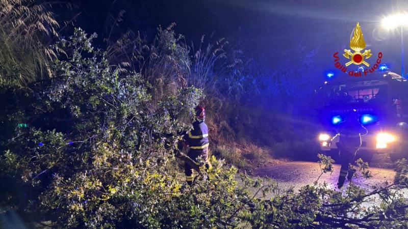 Alberi caduti e danni, tempesta di vento nelle Marche: oltre 140 interventi dei vigili del fuoco