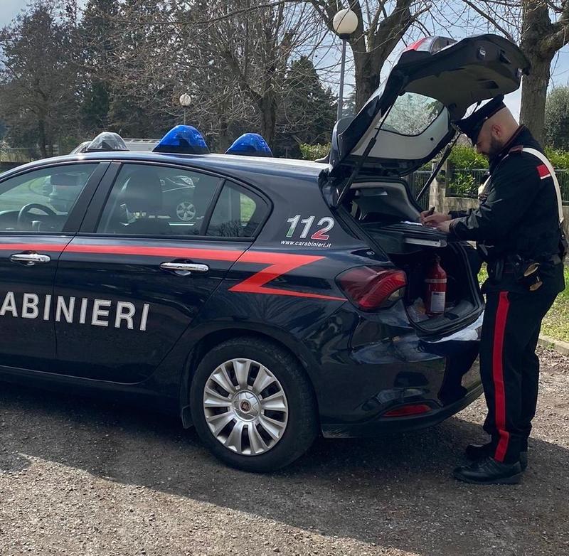 Reggiolo, danni e minacce al vicino di casa