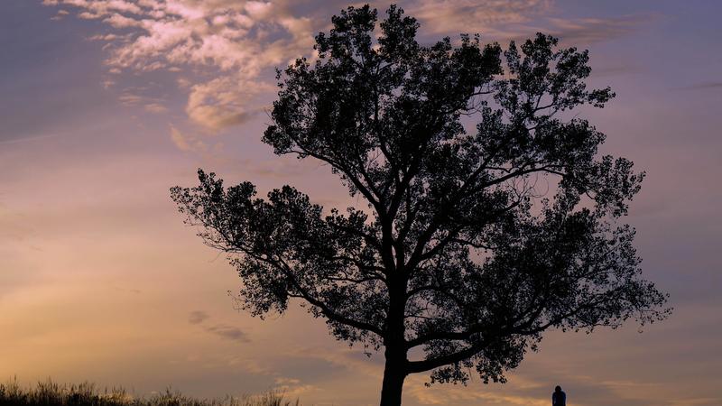 സുരക്ഷിതമല്ലാത്ത ജീവിതം