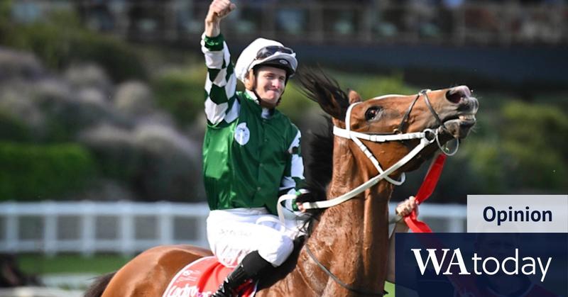 A trainer’s verdict: Sam Freedman’s guide to the Cox Plate, plus our expert tips A trainer’s verdict: Sam Freedman’s guide to the Cox Plate, plus our expert tips