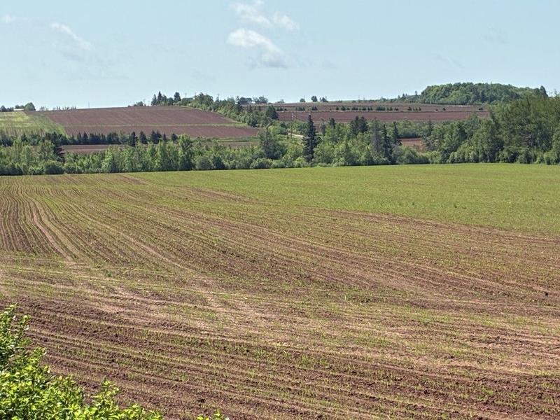 KENT MacDONALD: There is a need for stronger land use protection in Prince Edward Island