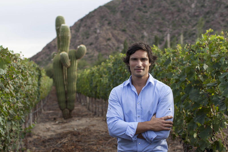 Antes usadas em vinho de garrafão, uvas criollas passam por renascimento