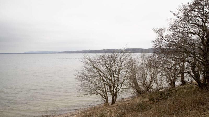 Debat: »En kæmpe skov - og en kæmpe mulighed for vores lokalområde«