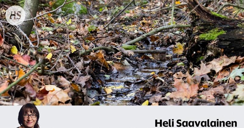 Kommentti| Poliisien olisi ehkä kannattanut jättää vitsit sikseen ja ottaa tieto norosta vakavasti Kommentti| Poliisien olisi ehkä kannattanut jättää vitsit sikseen ja ottaa tieto norosta vakavasti