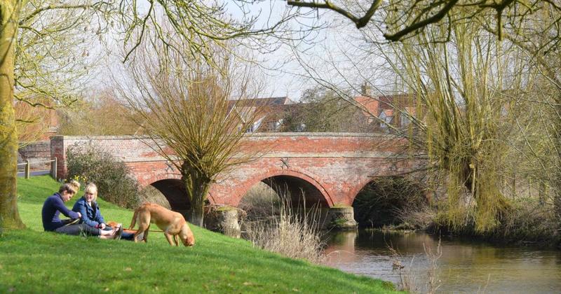 Backlash grows after plans for new estate in Norfolk village get go-ahead