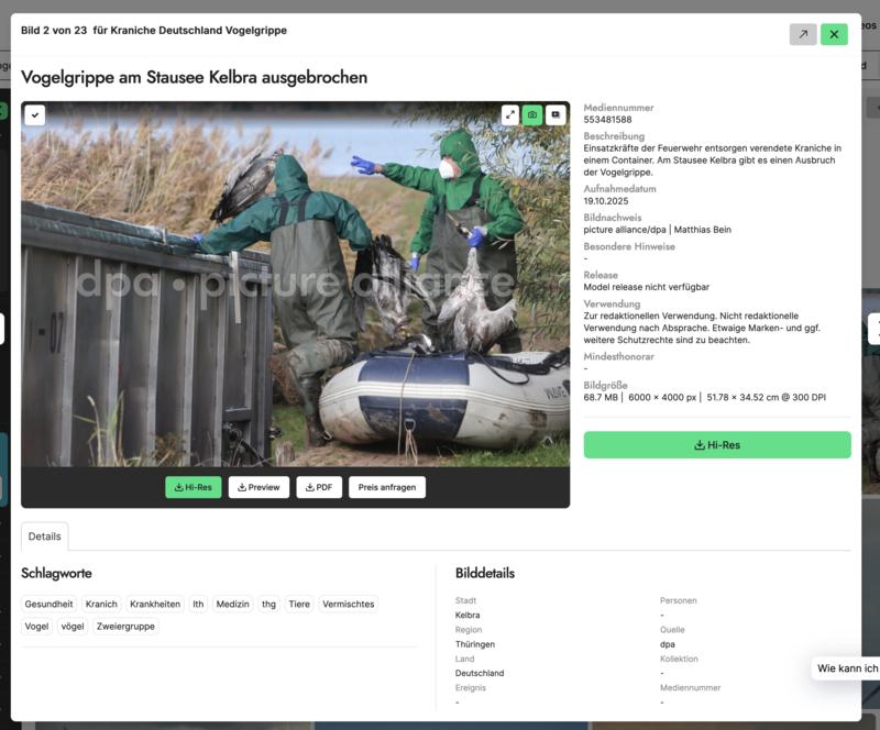 Die Vogelgrippe breitet sich aus. Was müssen Menschen über das Virus wissen? Die Vogelgrippe breitet sich aus. Was müssen Menschen über das Virus wissen?