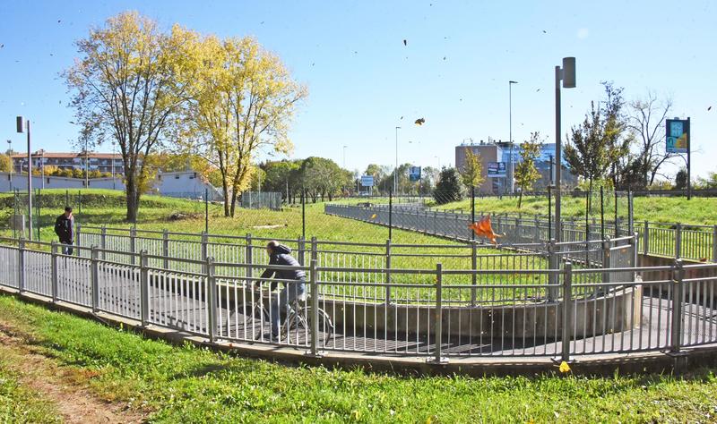 Bergamo, arriva il Bosco della Comunità: barriera verde anti-smog nel quartiere Loreto