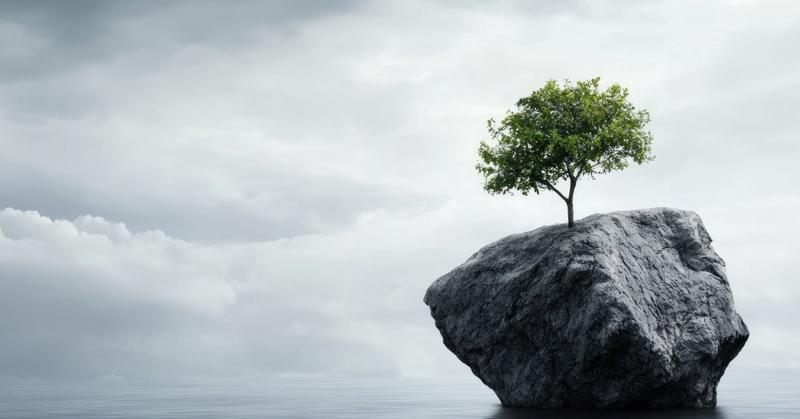 Resilience: From Theory to Applied Reality