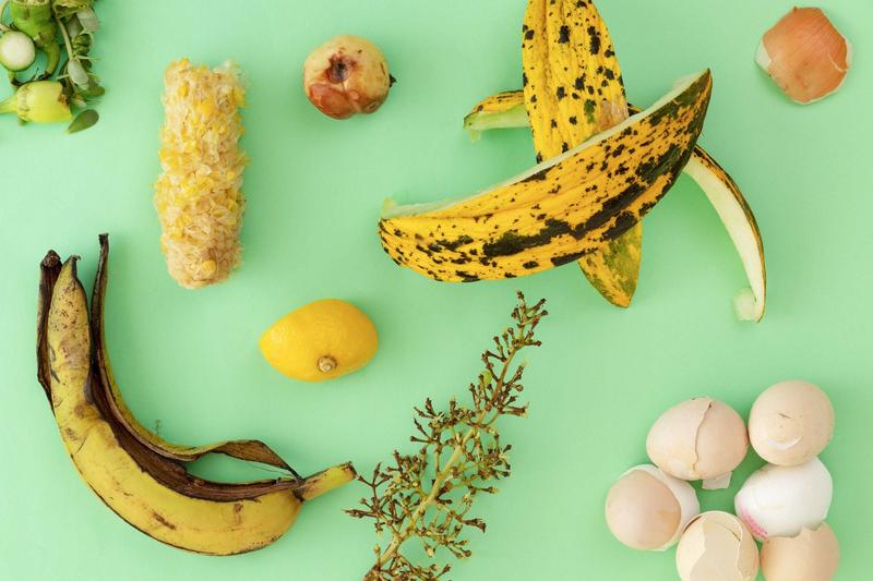 Já pensou em ter uma composteira em casa? Tire suas dúvidas sobre o processo