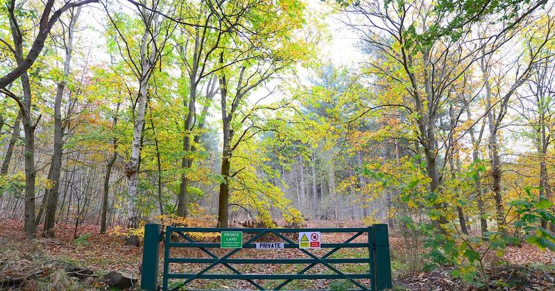 Battle rumbles on as villagers take on owner of private woods set for holiday park Battle rumbles on as villagers take on owner of private woods set for holiday park