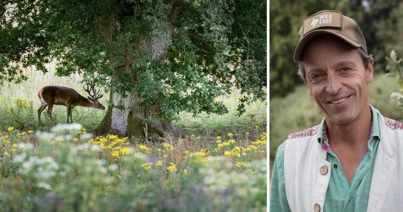 Nature movement grows beyond East Anglian roots to inspire national 'Wild Kingdom' Nature movement grows beyond East Anglian roots to inspire national 'Wild Kingdom'
